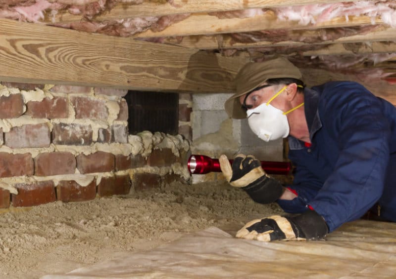 Plafond cave isolation mousse PUR expert